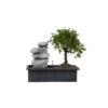 Bonsai Boom Met Easy-care Watersysteem - Zen Stenen - Hoogte 25-35cm -Goedkope Planten winkel 1000082106