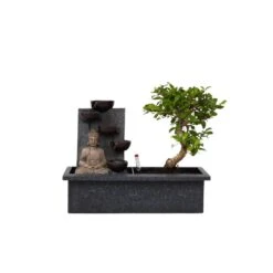 Bonsai Boompje Met Easy-care Watersysteem - Buddha - Hoogte 25-35cm