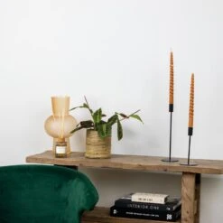 Maranta Tricolor – Gebedsplant – ⌀12cm –↕10-15 Cm -Goedkope Planten winkel 1000088701 0103