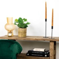 Maranta 'Kerchoveana'– Gebedsplant – ⌀12cm –↕10-15cm -Goedkope Planten winkel 1000088702 0103