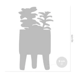 4x Succulenten Mix Pot – Succulenten – ⌀6 Cm - ↕10-15 Cm -Goedkope Planten winkel 1000095894 0102