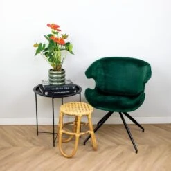 Anthurium 'Aristo' Oranje – Flamingoplant - ⌀14 Cm - ↕45-55 Cm -Goedkope Planten winkel 1218518760 0103