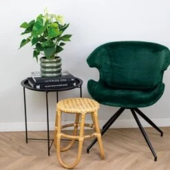 Anthurium 'Aristo' Wit – Flamingoplant - ⌀14 Cm - ↕45-55 Cm 7 Anthurium 'Aristo' Wit – Flamingoplant - ⌀14 Cm - ↕45-55 Cm -Goedkope Planten winkel 1306315480 0103