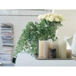 2x Hoya Krinkle P10.15 6 2x Hoya Krinkle P10.15 -Goedkope Planten winkel 1692893870 0102