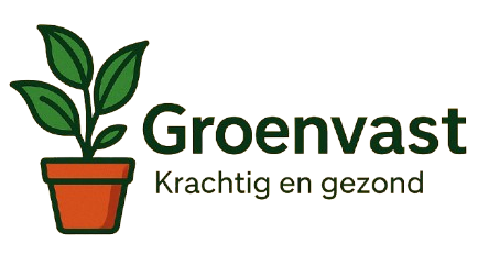 Goedkope Planten winkel